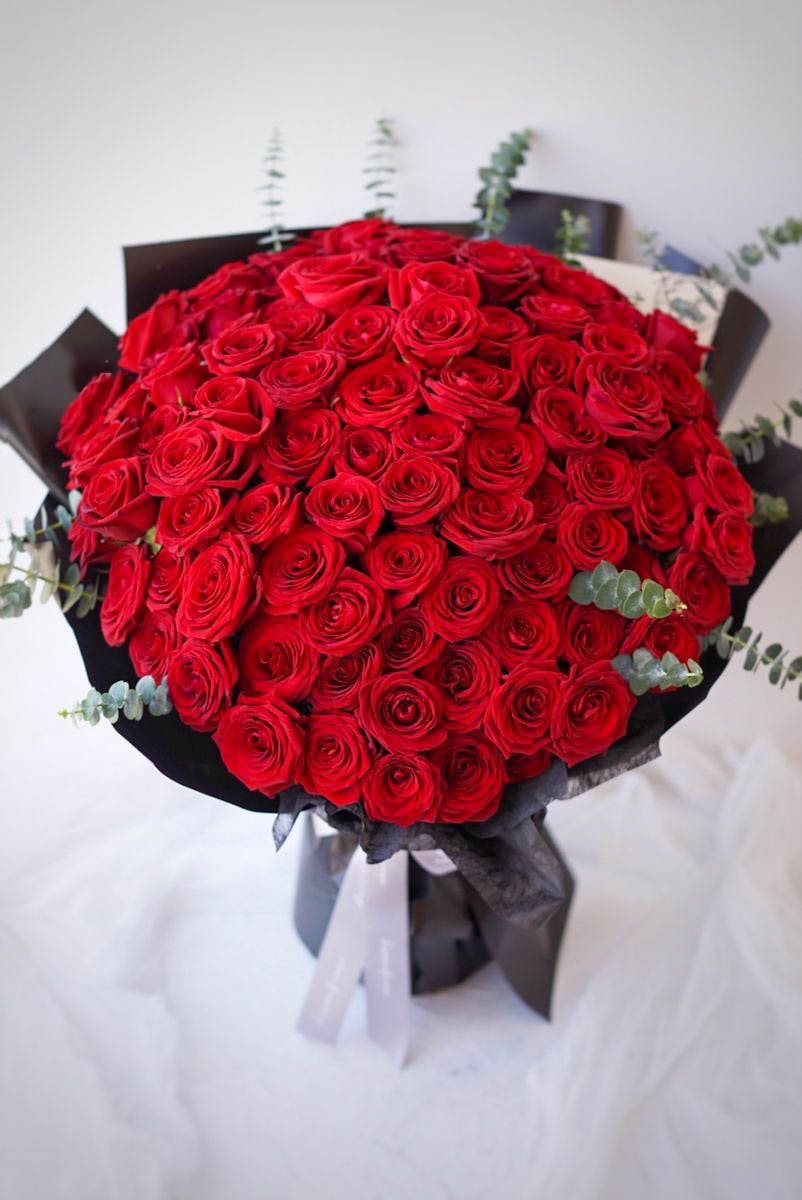 Red Roses Elegance