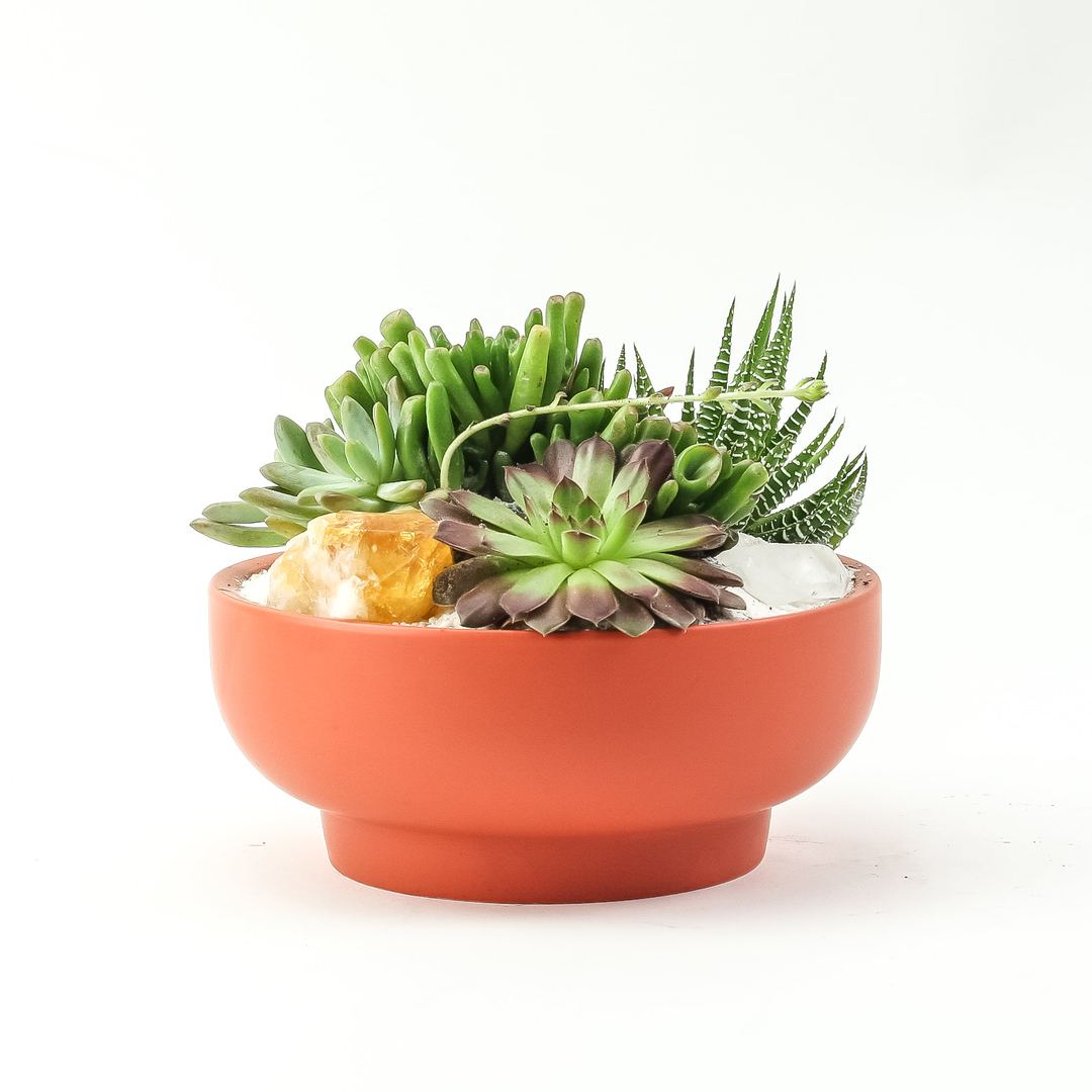 RUST CRYSTAL PLANTING