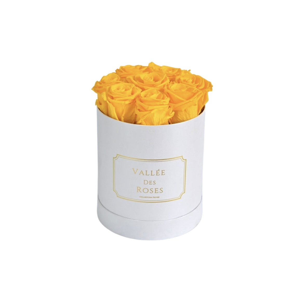 Yellow Eternity Roses