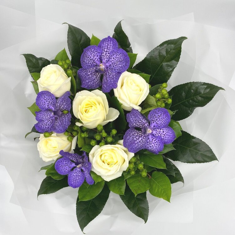 Blue Avalanche original