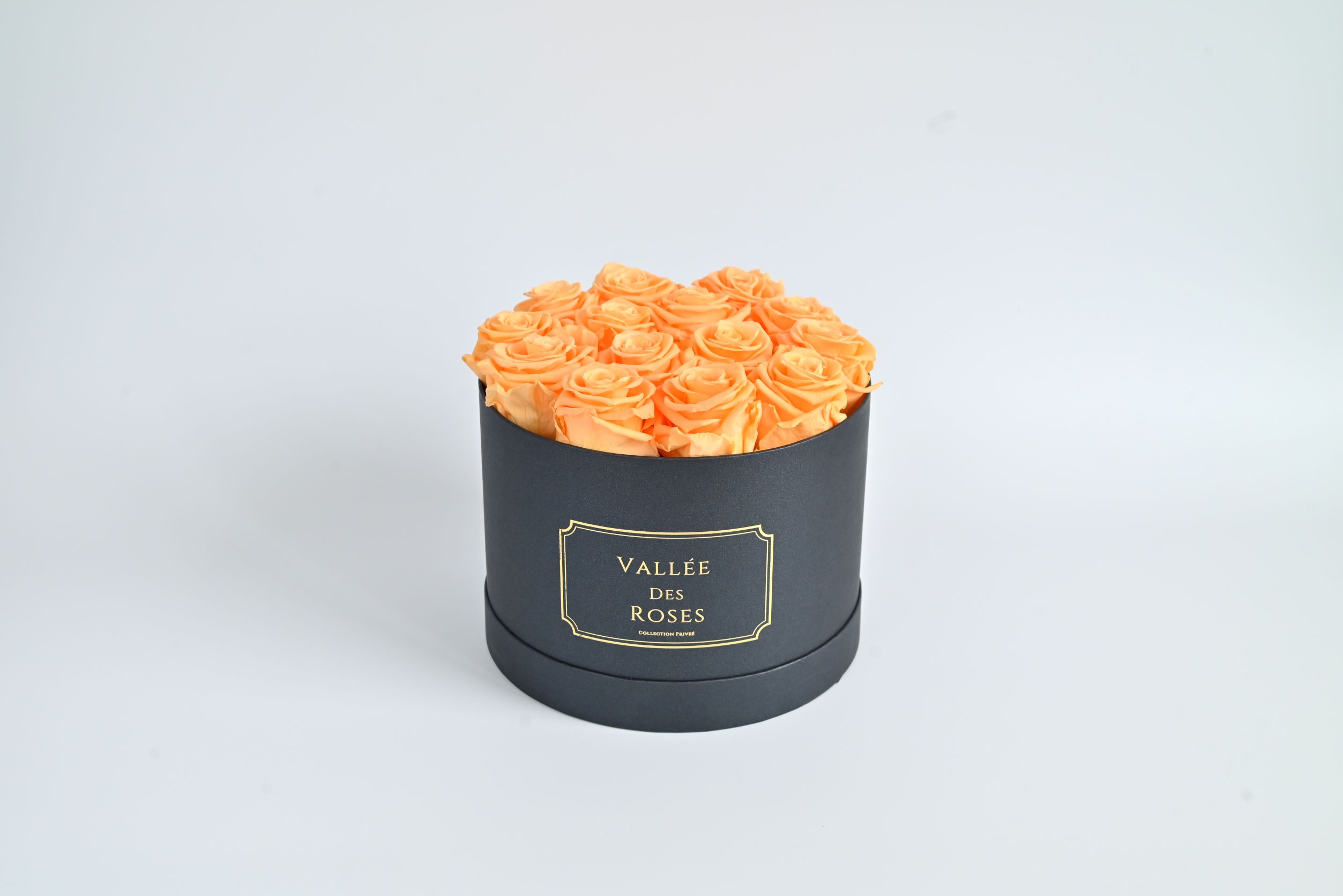 2 YearsPreserved Rose