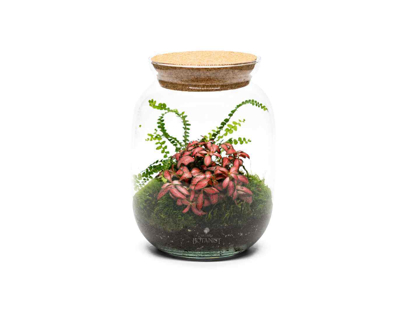 DIY Terrarium H22