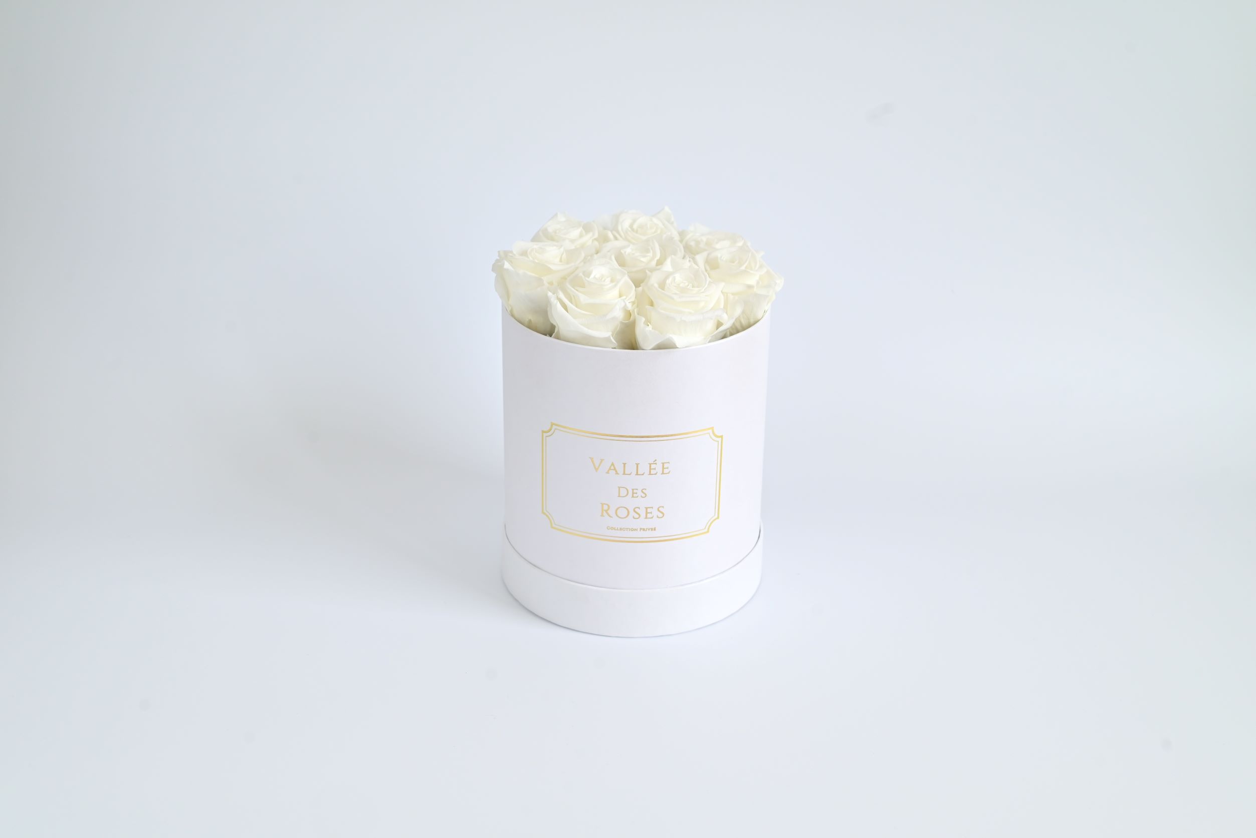 White Eternity Roses