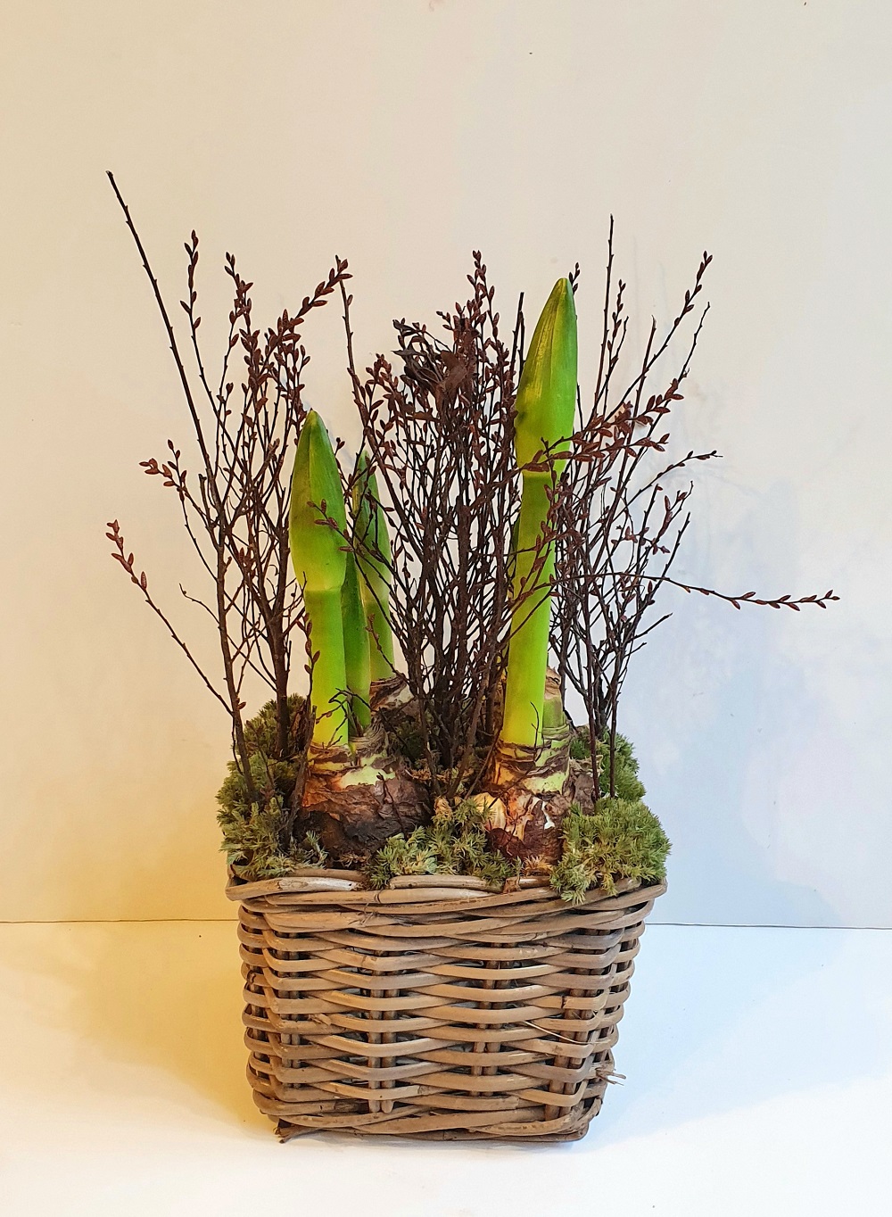 Amaryllis Basket