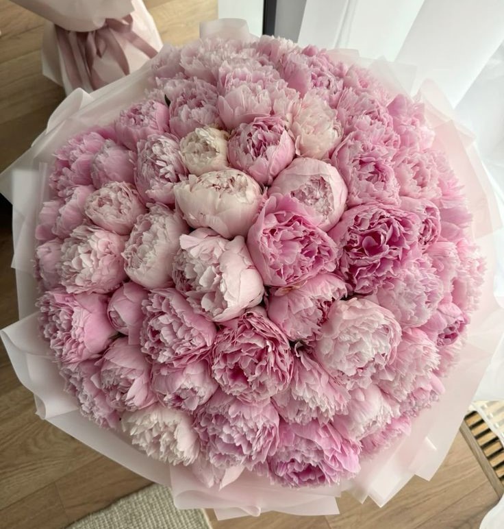Peonies