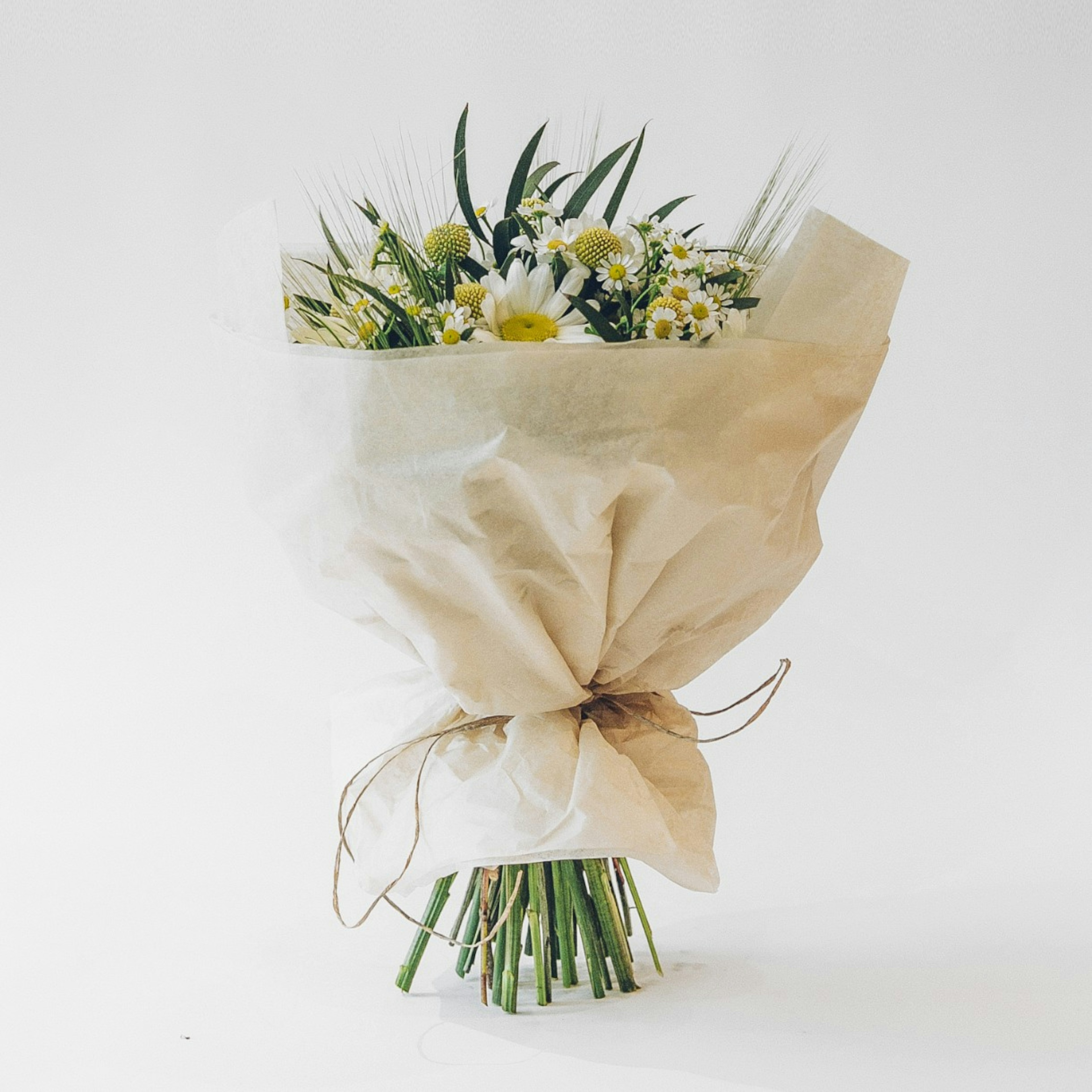 Daisy Bunch original