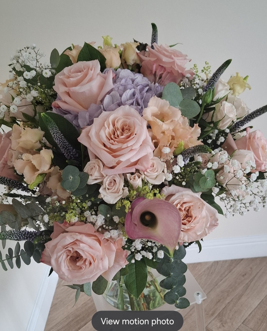Josephine by Memphis in Bloom — flowers available for delivery from Floom