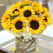 Sunflowers-Hydrangea