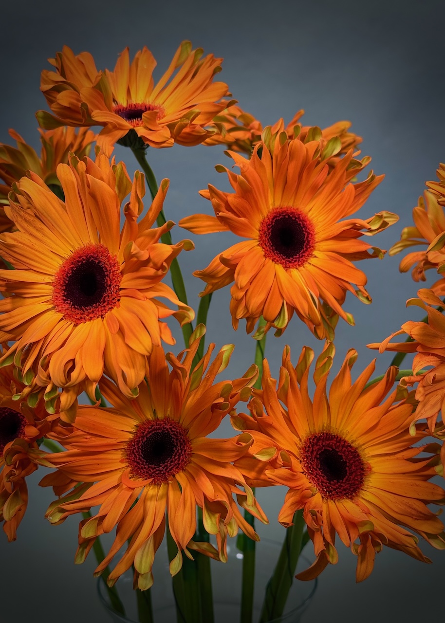 Original by Maples Flowers — flowers available for delivery from Floom