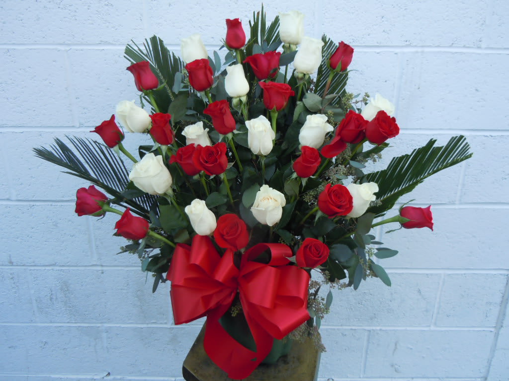 Peace and Love Roses