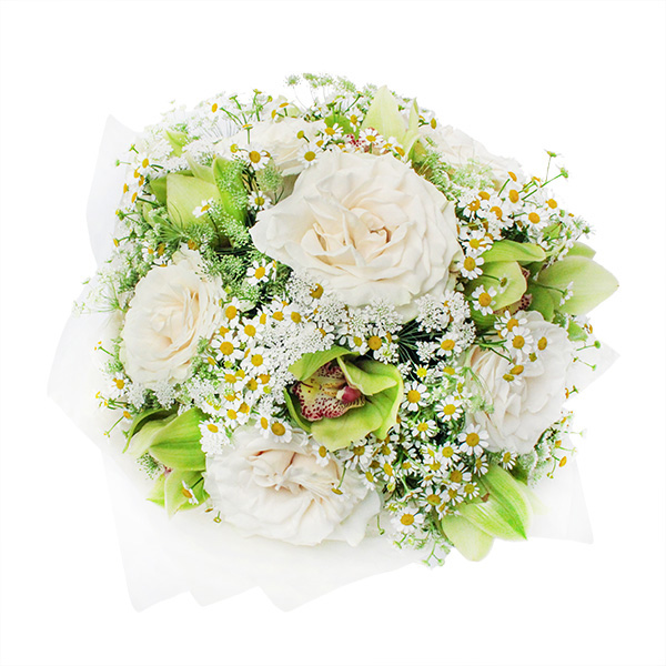 Morning Star original