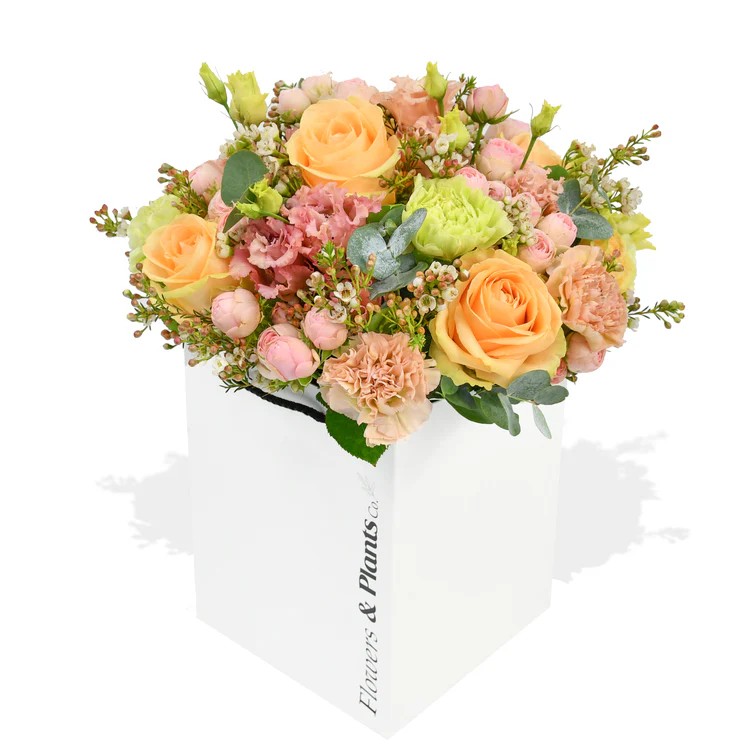 Original by Flowers & Plants Co — flowers available for delivery from Floom