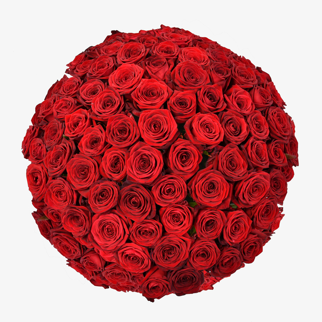 Love To Tango by Moyses Stevens Flowers — flowers available for delivery from Floom