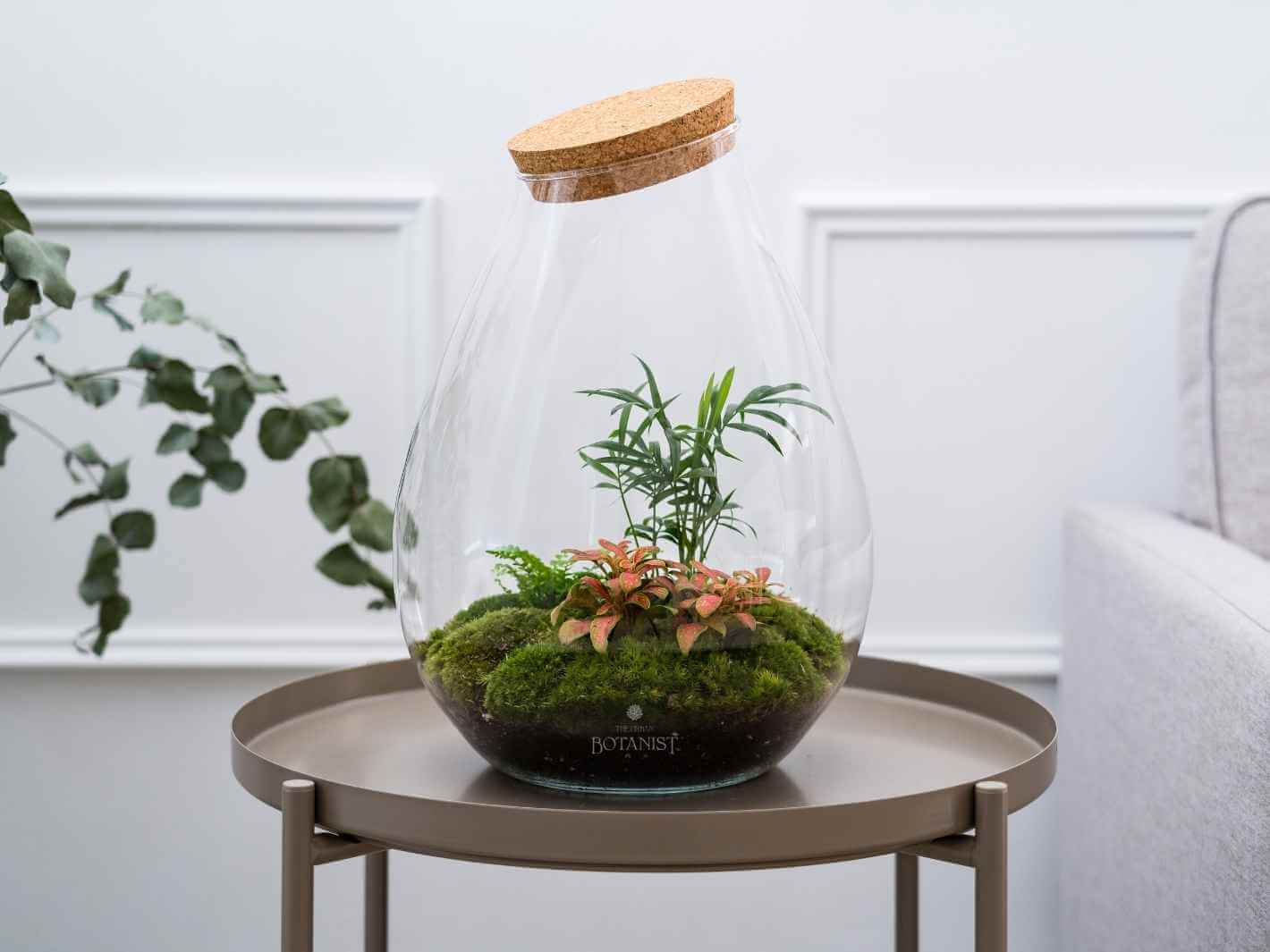 Terrarium Bond Street