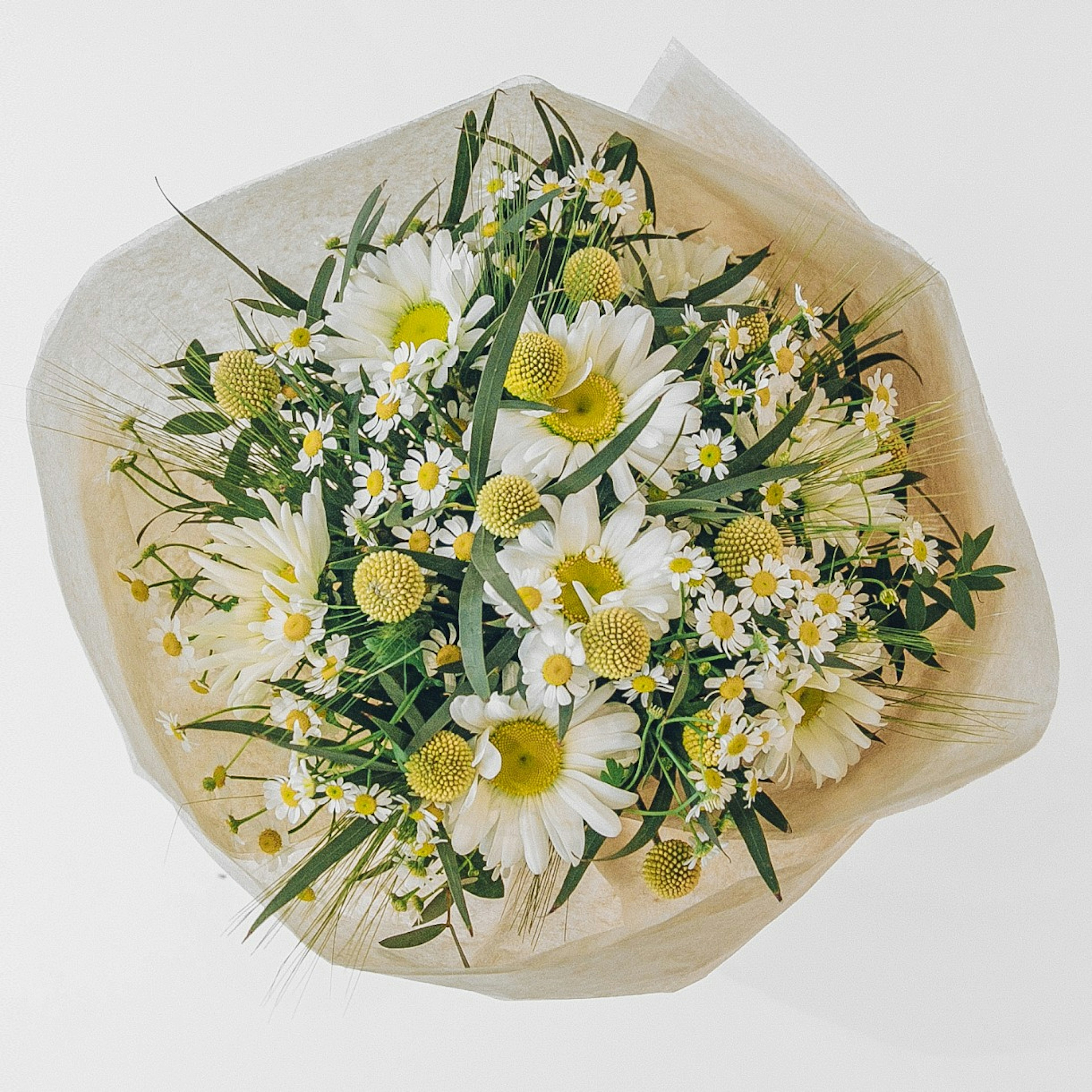 Daisy Bunch original