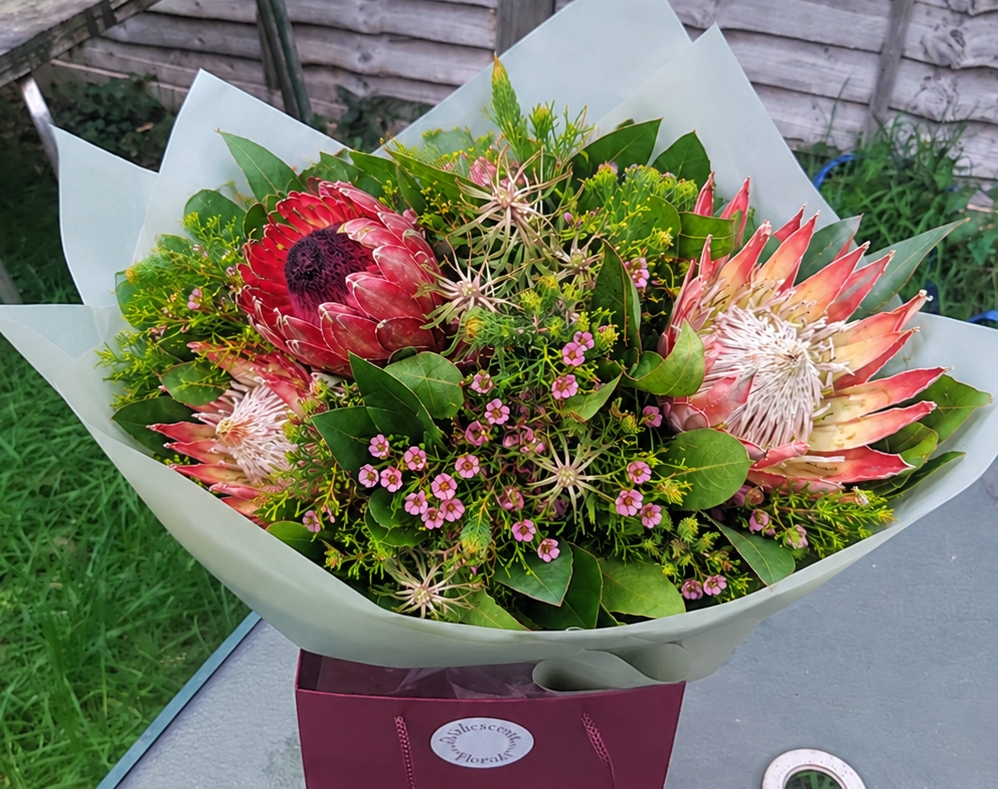 King Protea bouquet by Iridescent Florals — flowers available for delivery from Floom