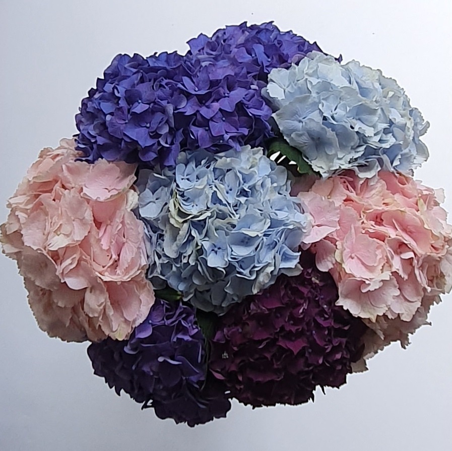 Hydrangea Bouquet