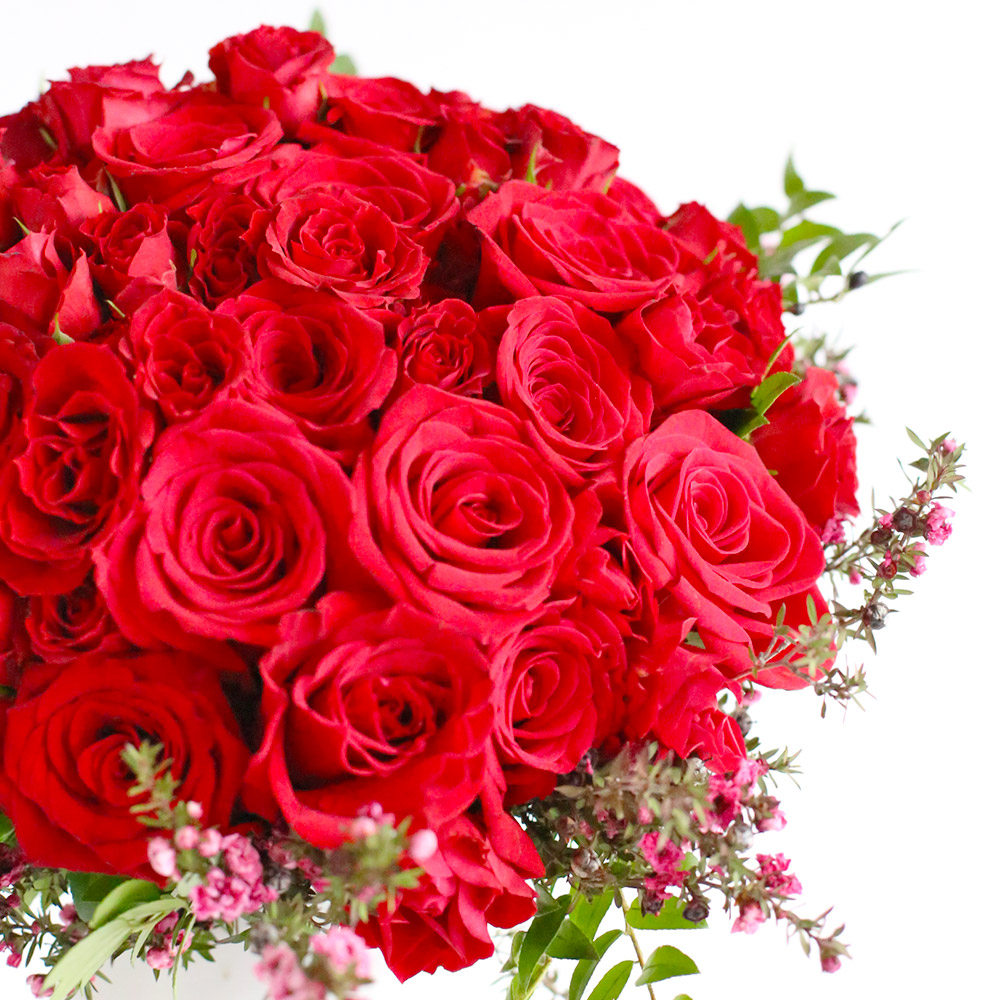 Amore Red Roses