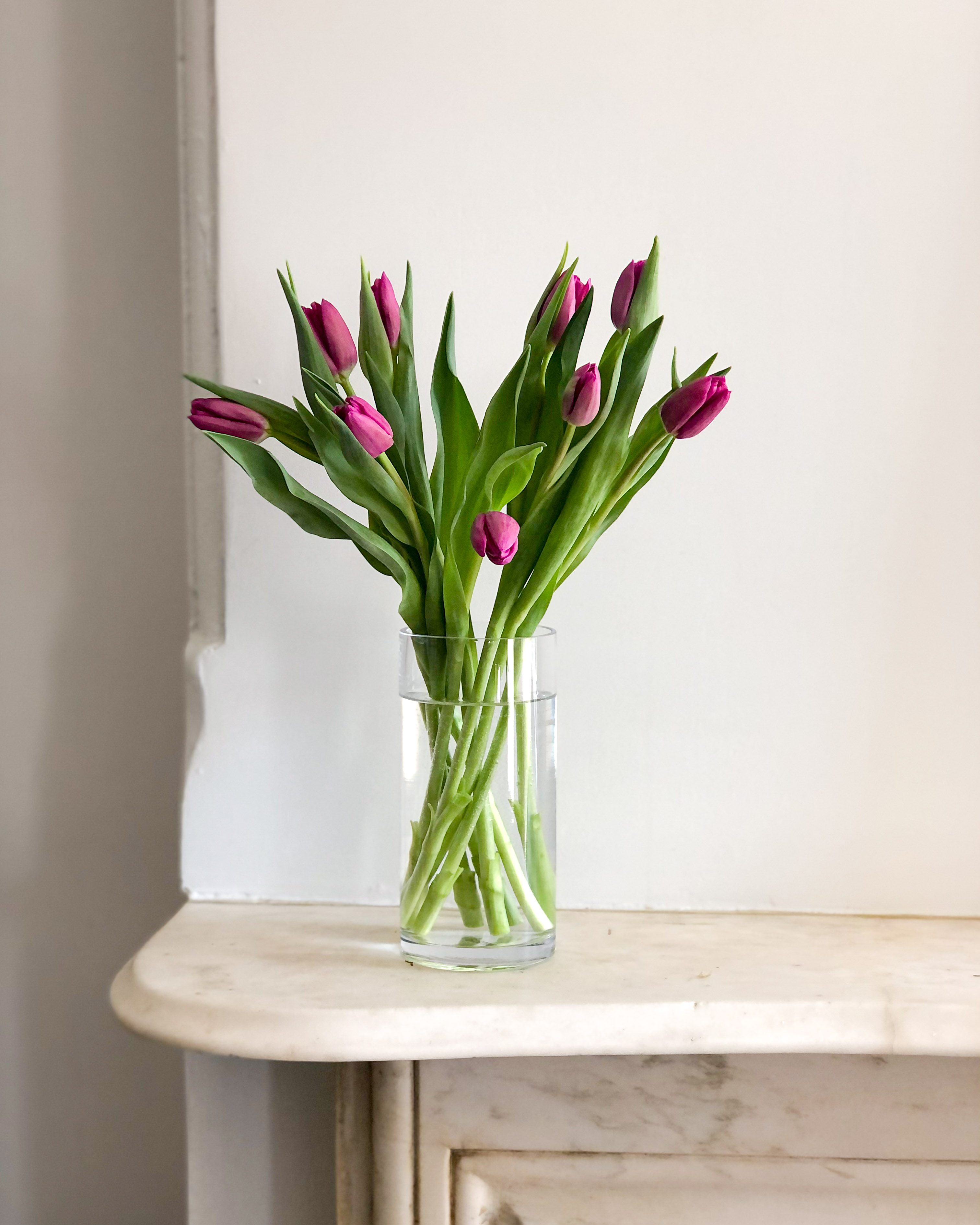 Tulip Gesture
