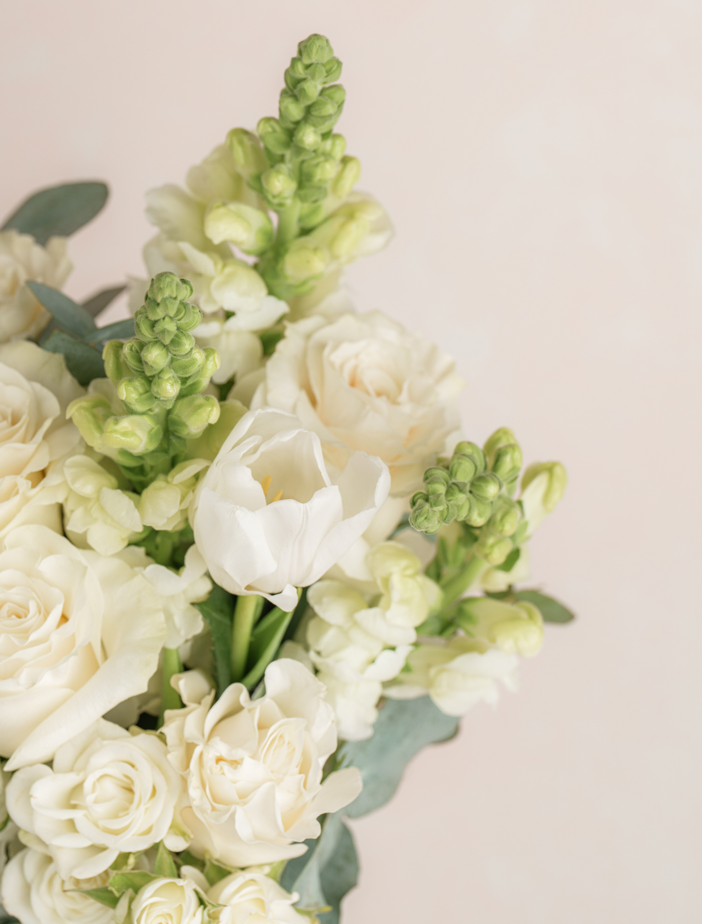 Paulette by Ode a La ROSE- Chicago  — flowers available for delivery from Floom