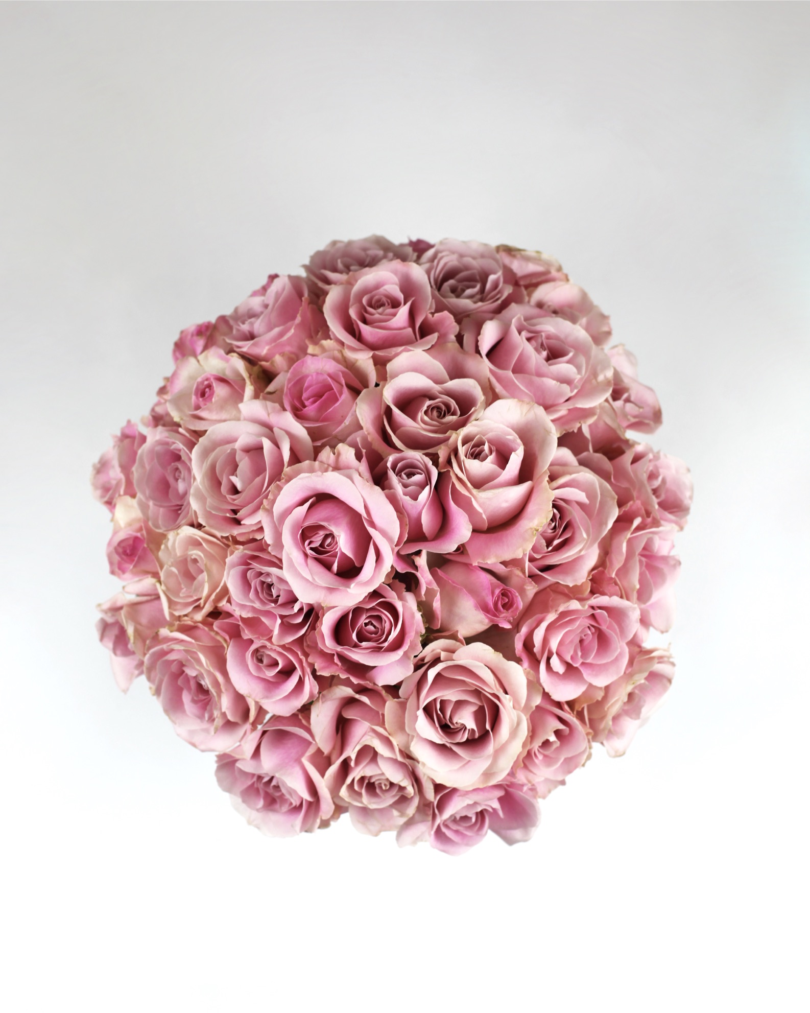 Maria De Los Angeles