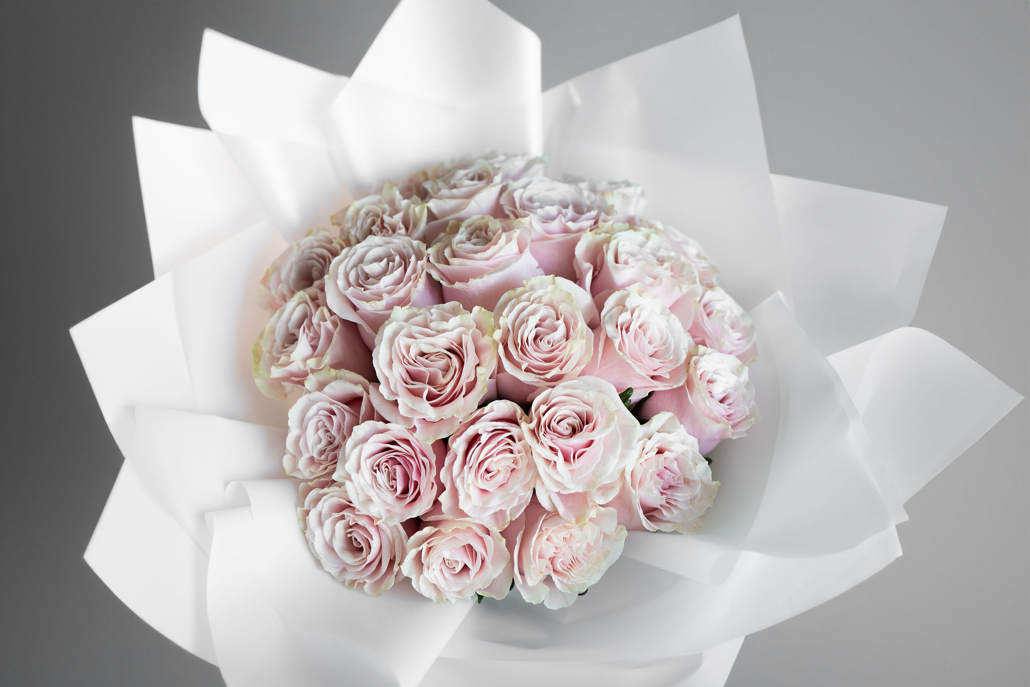 Pink Roses PETALONIA