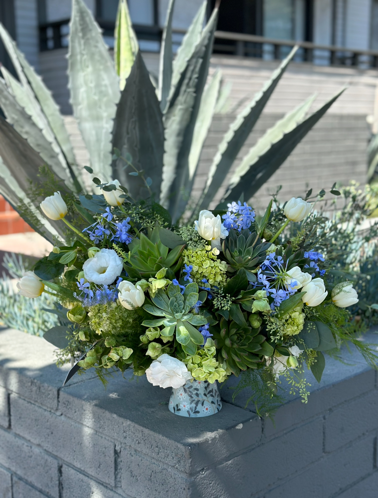 Celebrate Succulents