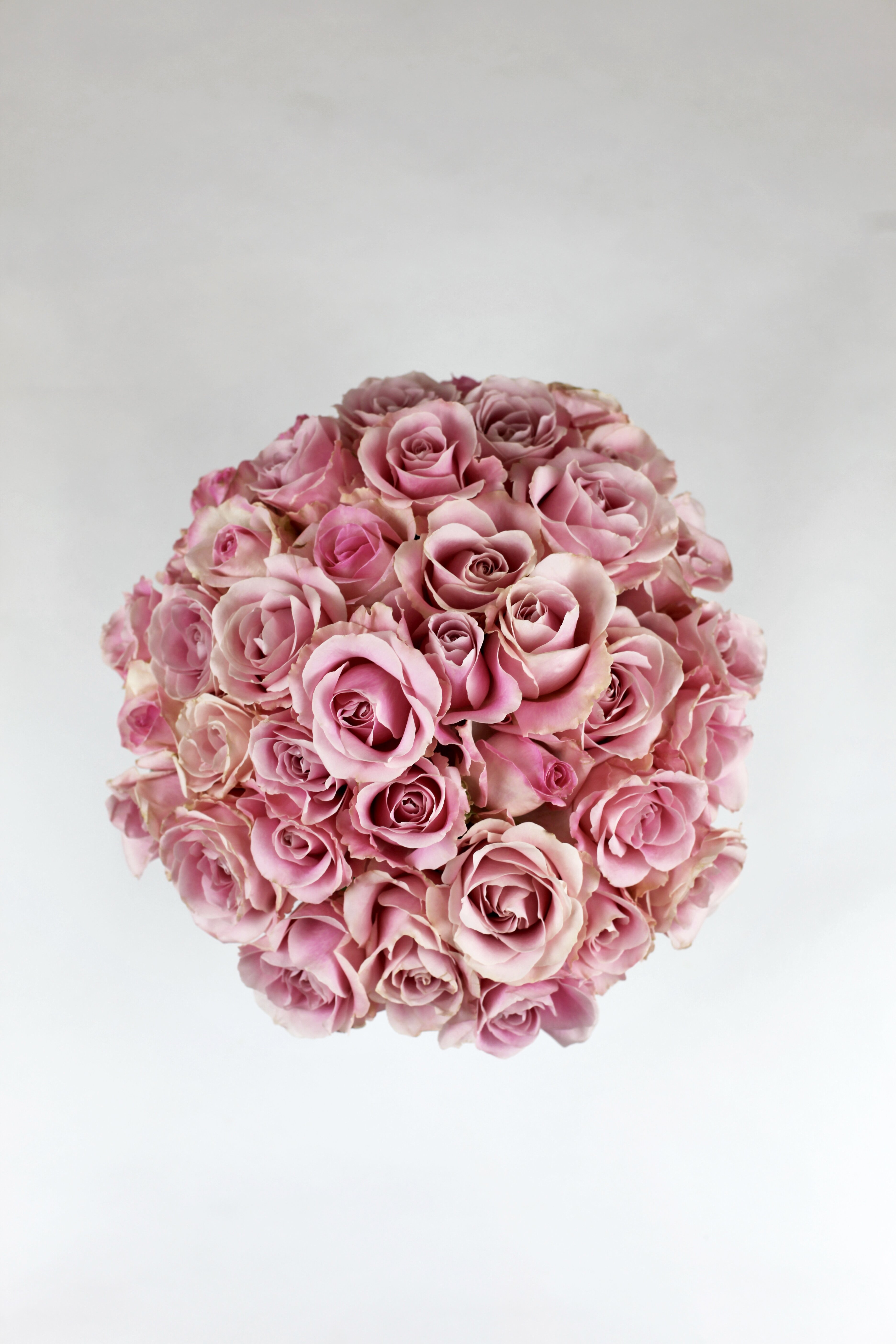 Maria De Los Angeles