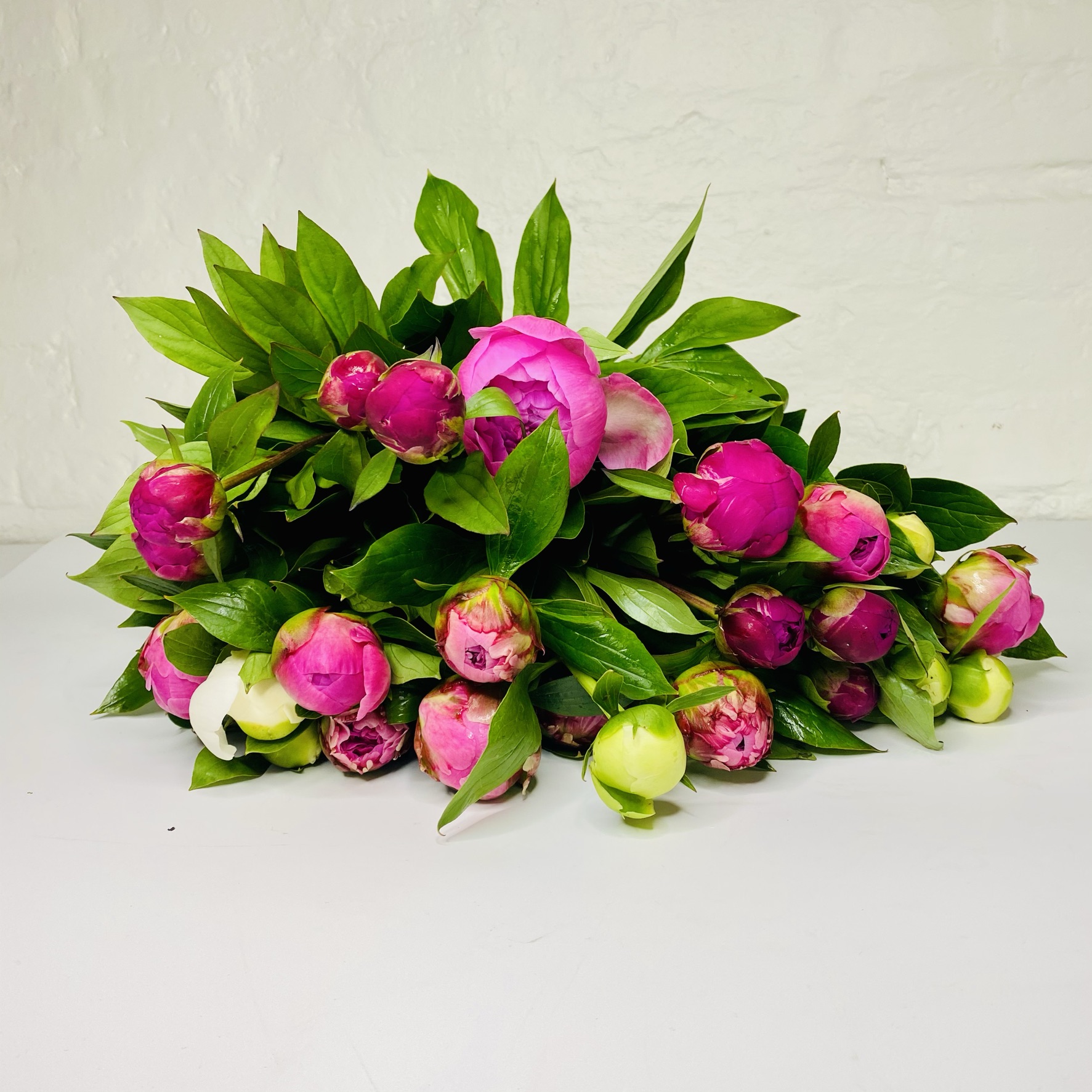 PEONIES