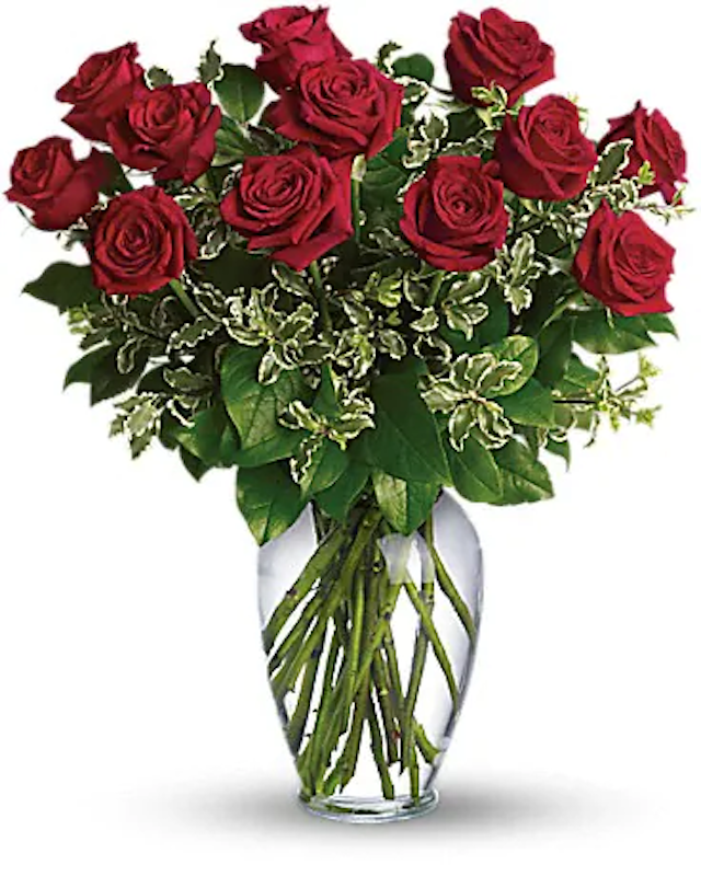 Dozen Of Red Roses