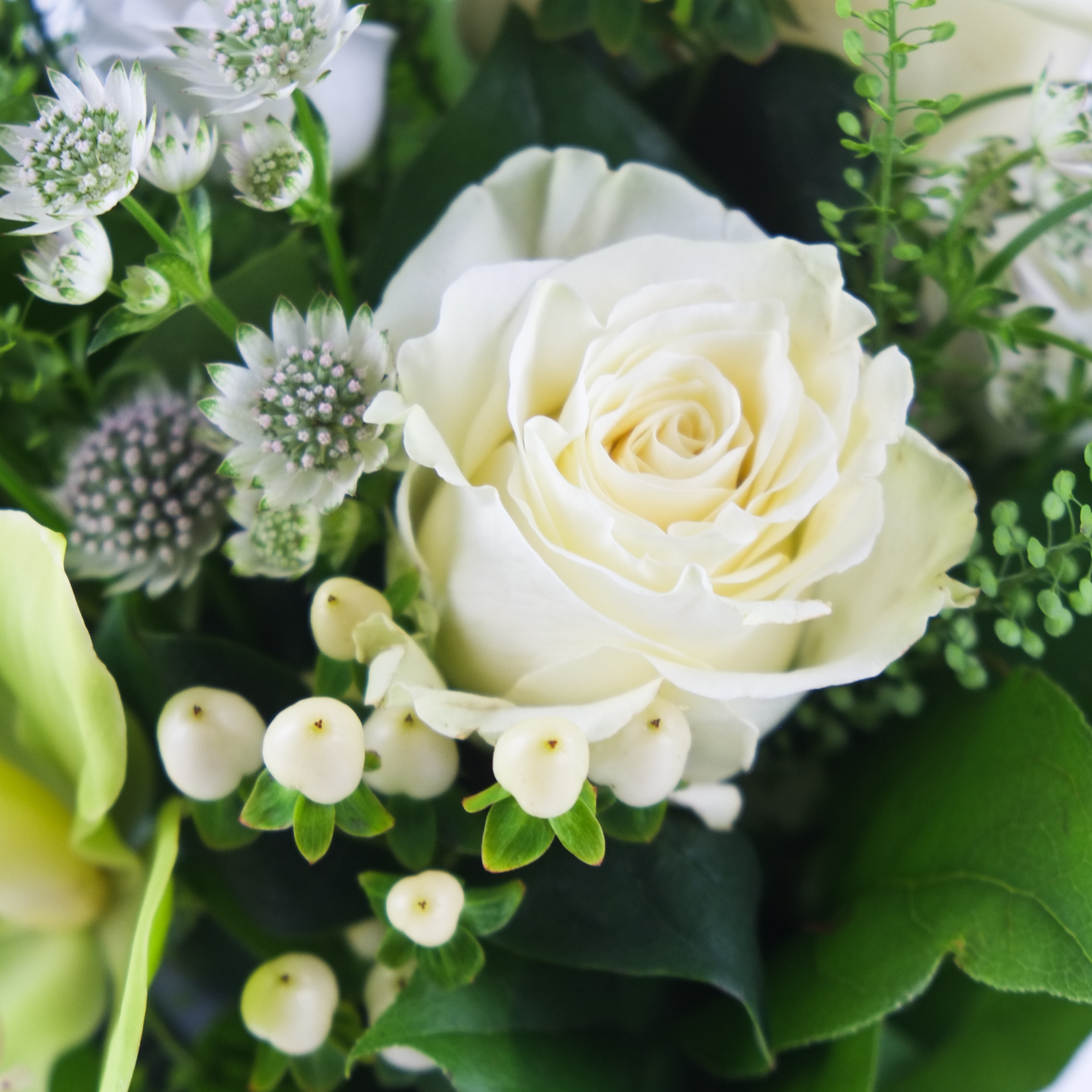 Pillow Talk original