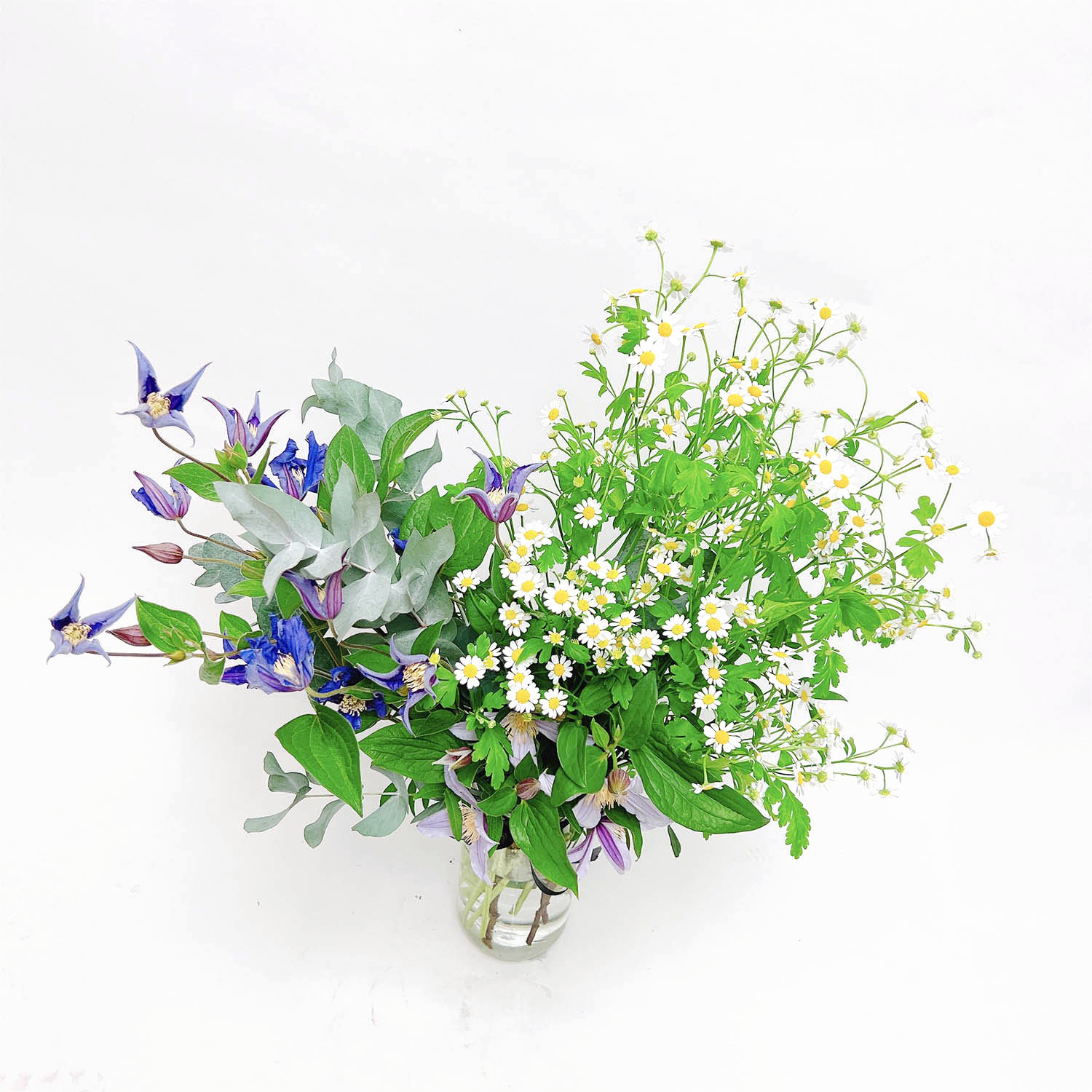 Gianicolo by Orchidya — flowers available for delivery from Floom
