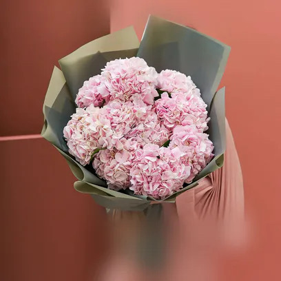 Hydrangea wrapped `