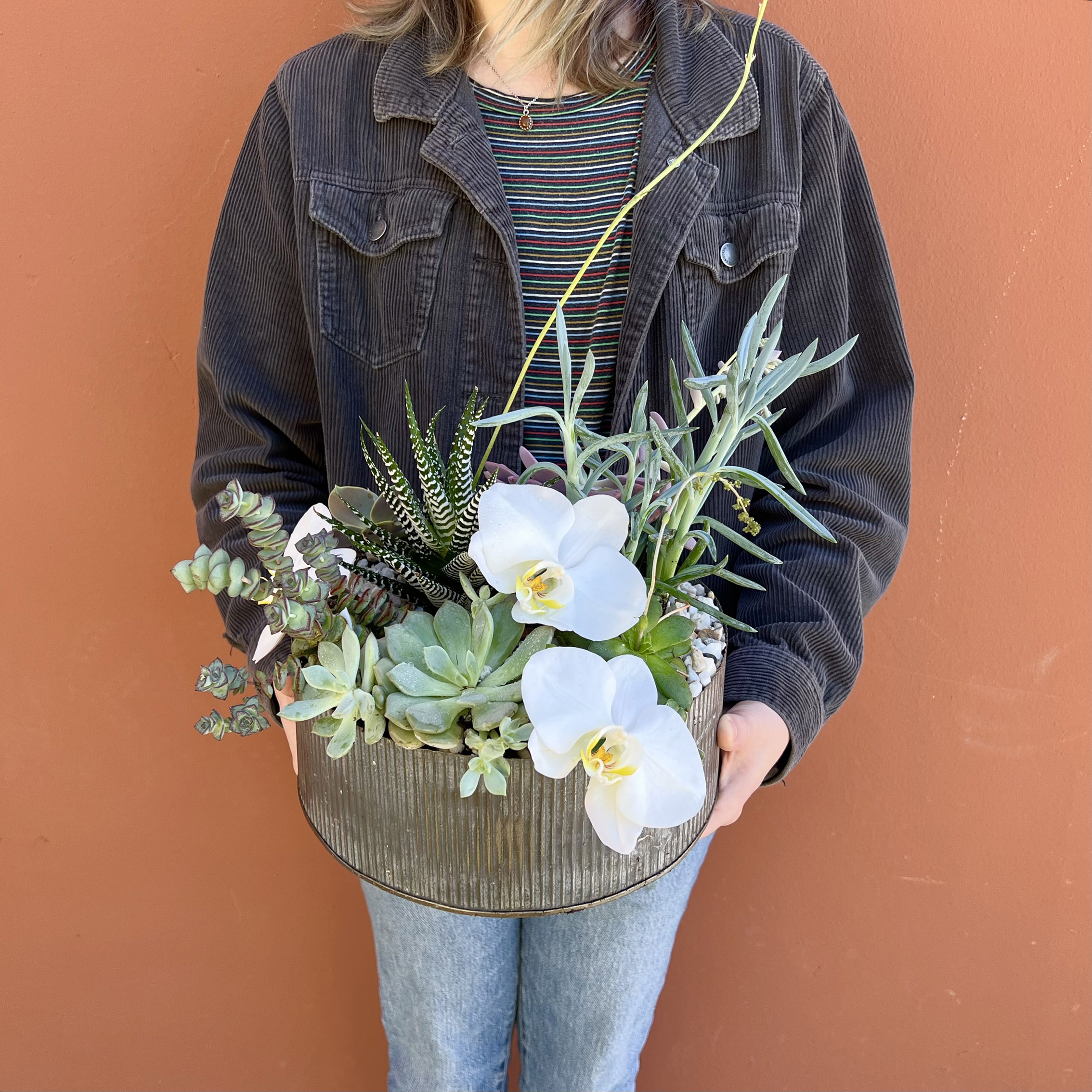 Succulents & Orchids
