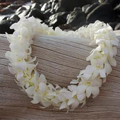 Original by Noble Garden Florist Weho — flowers available for delivery from Floom