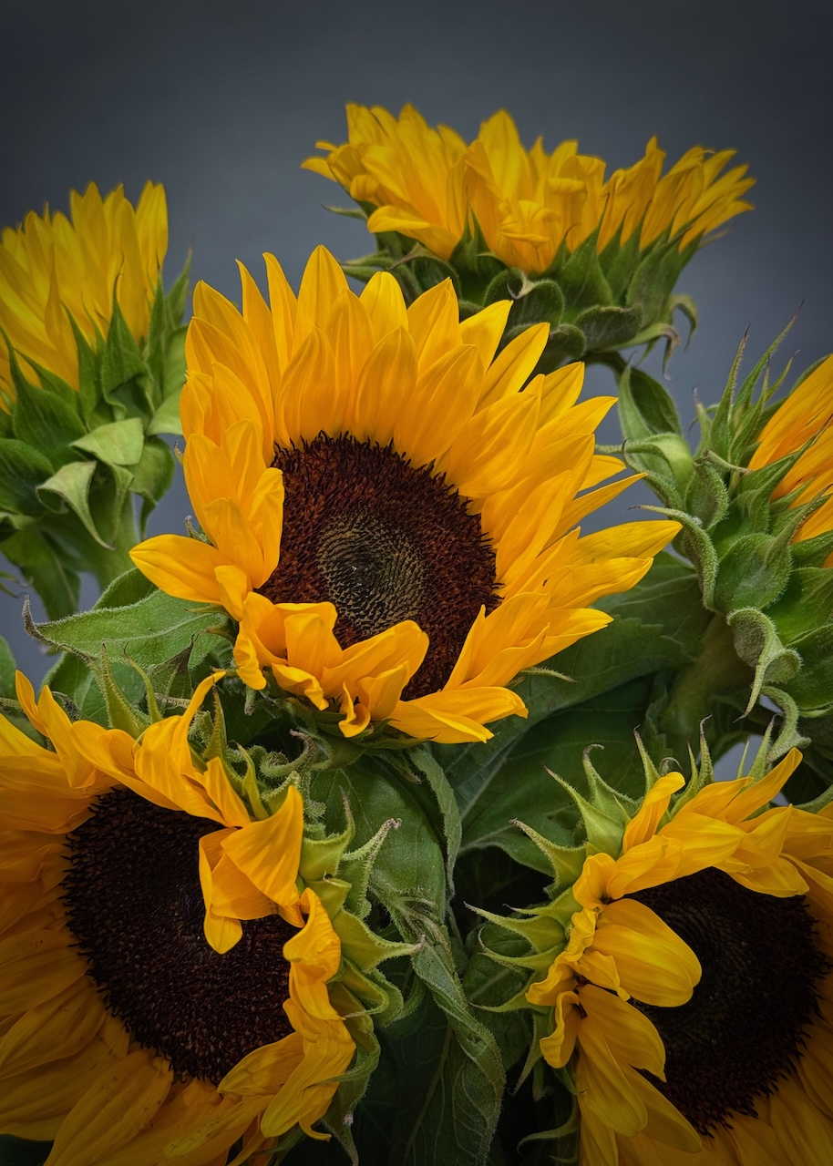 Original by Maples Flowers — flowers available for delivery from Floom