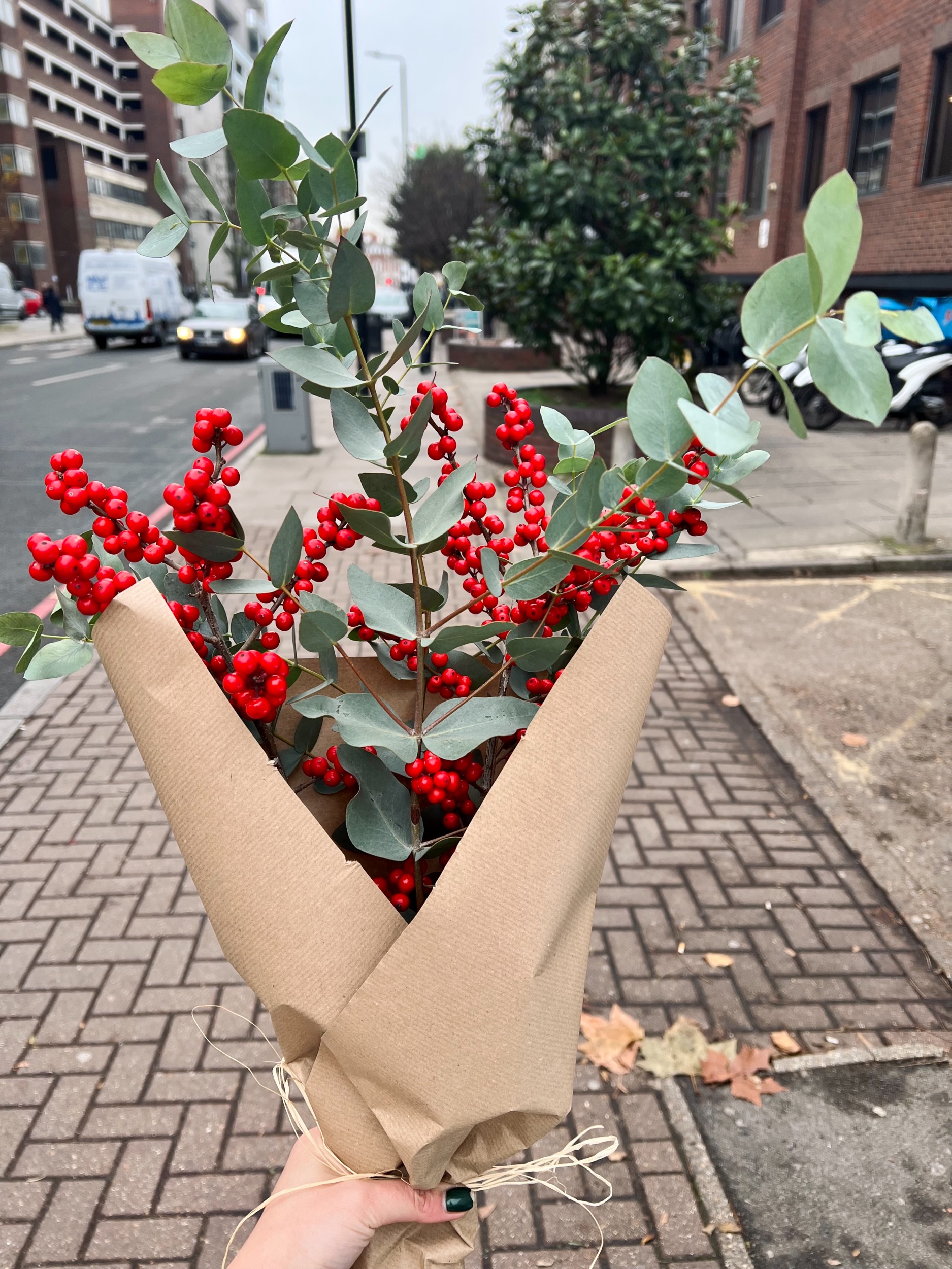 Christmas Aesthetics