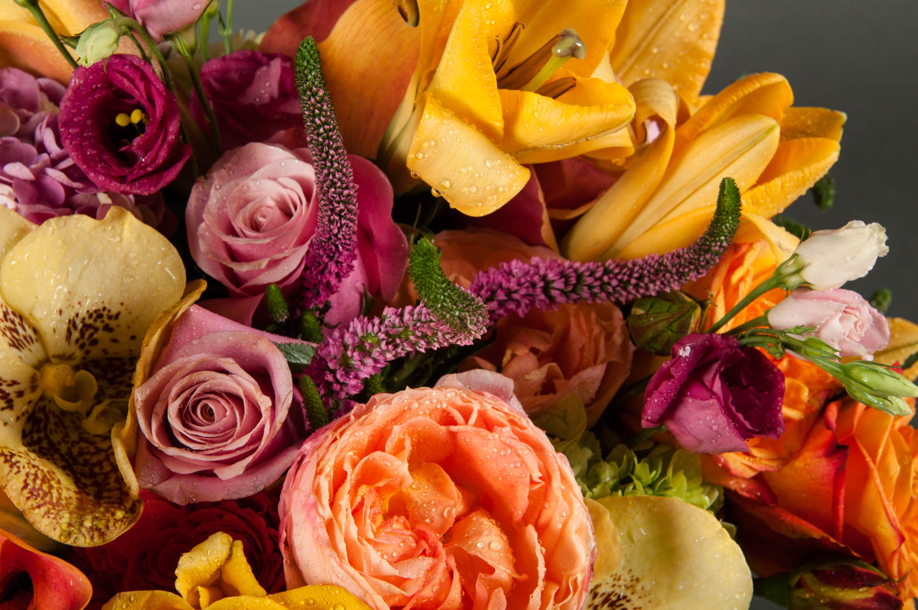 Indoor Plants | Floom