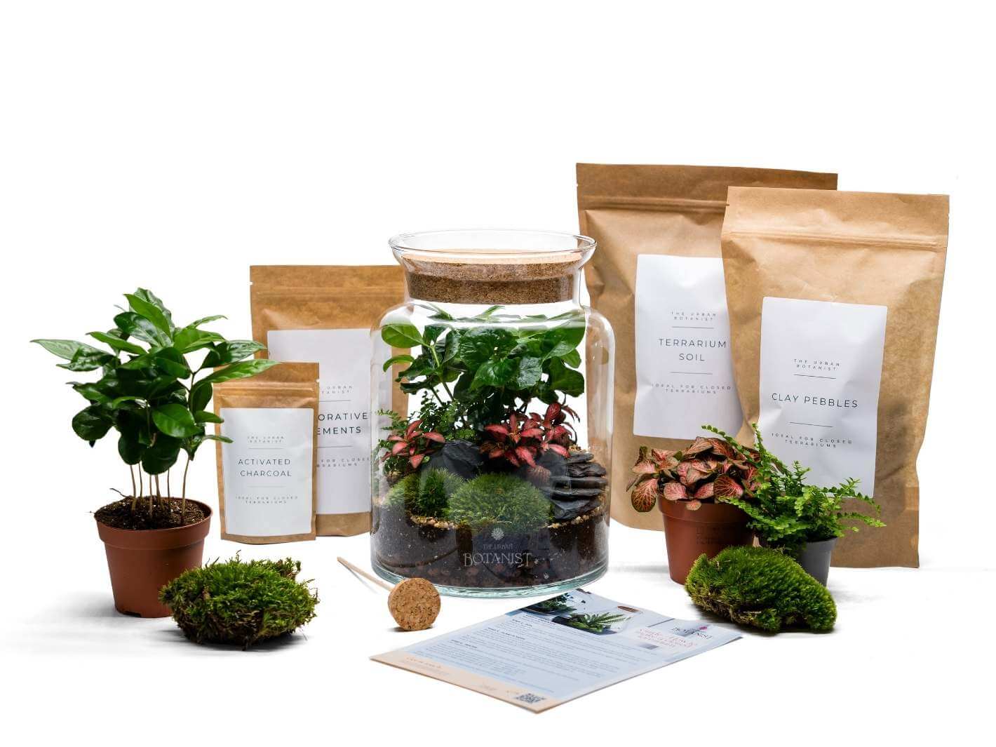 DIY Terrarium H25 Qw