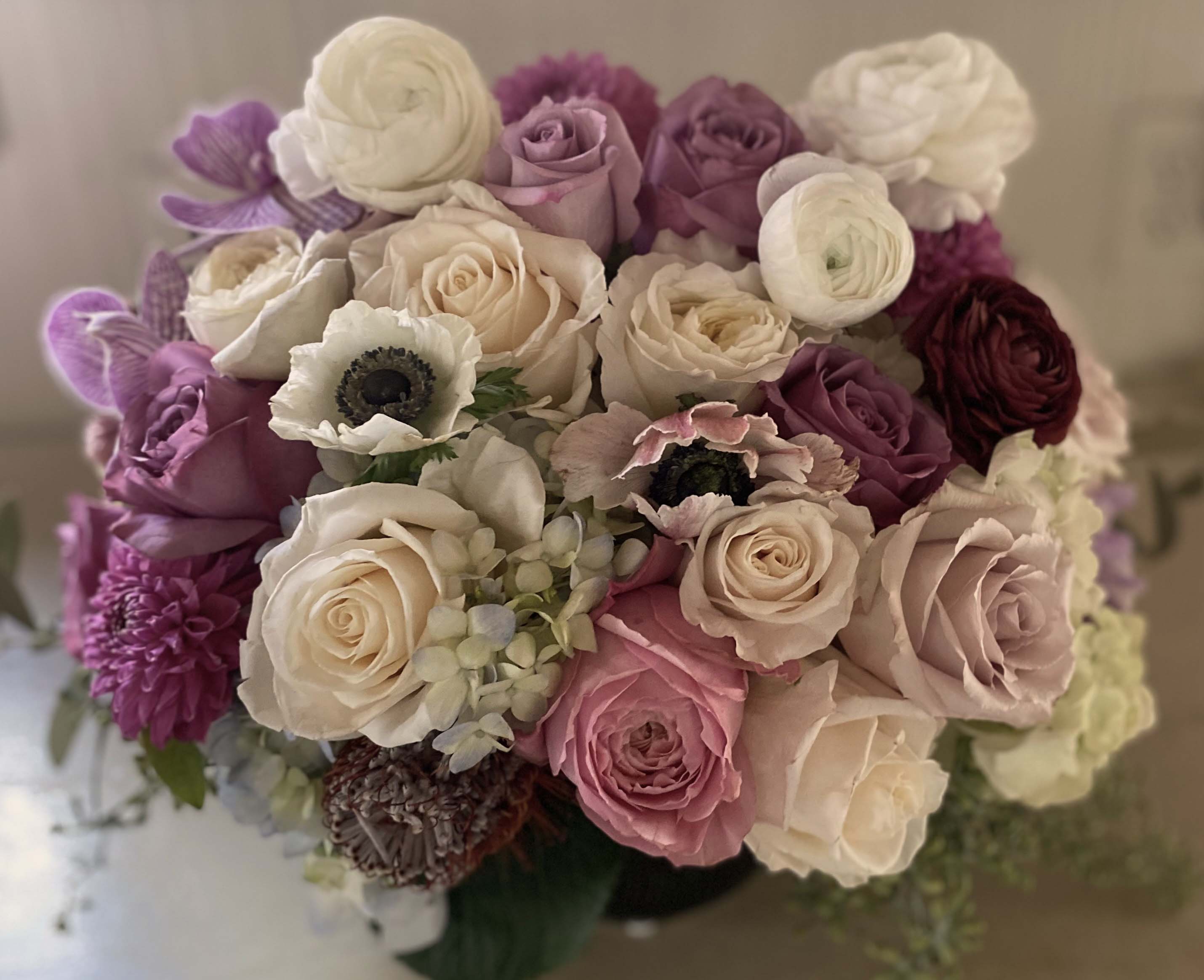 Violet  dark elegance