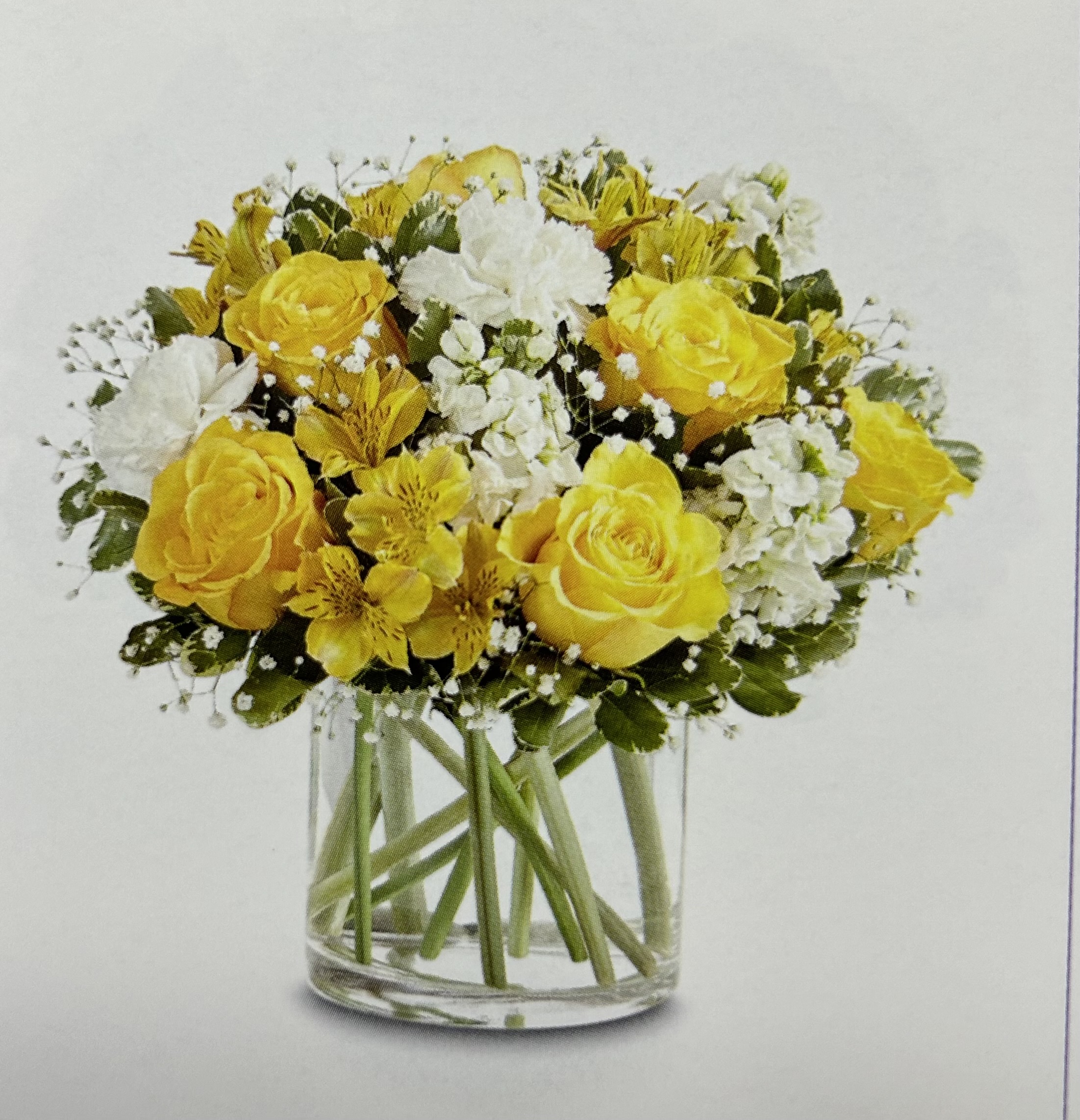 Yellow White Delight