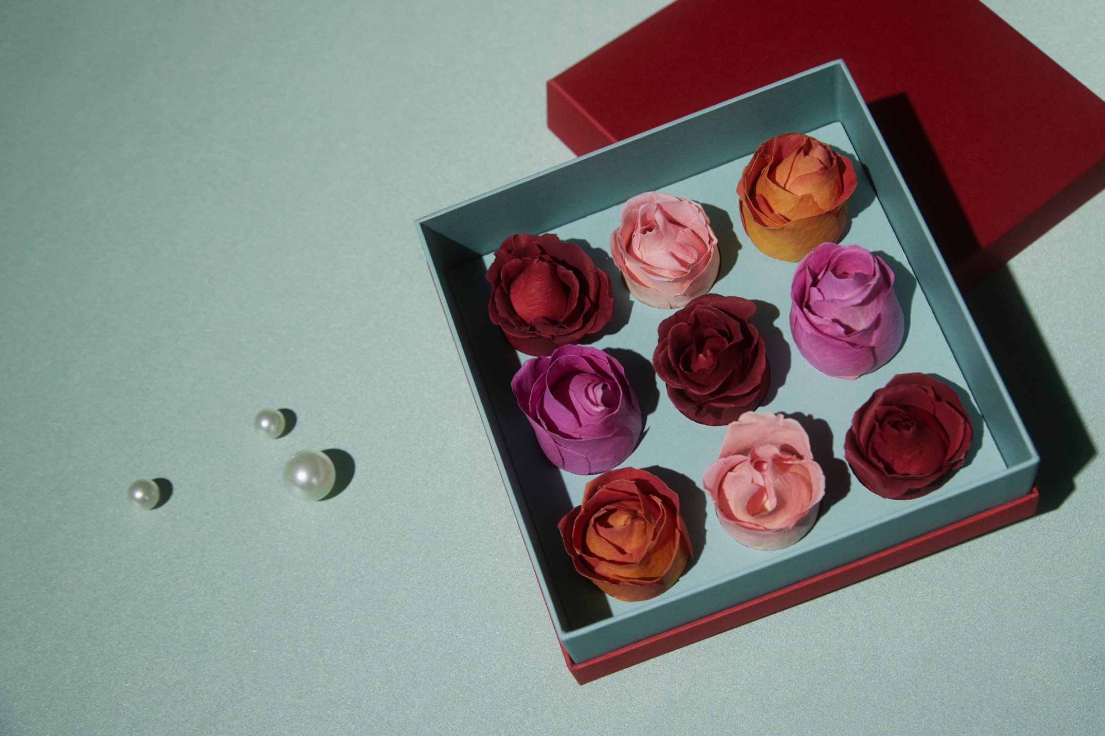 SIGNATURE COLLECTION