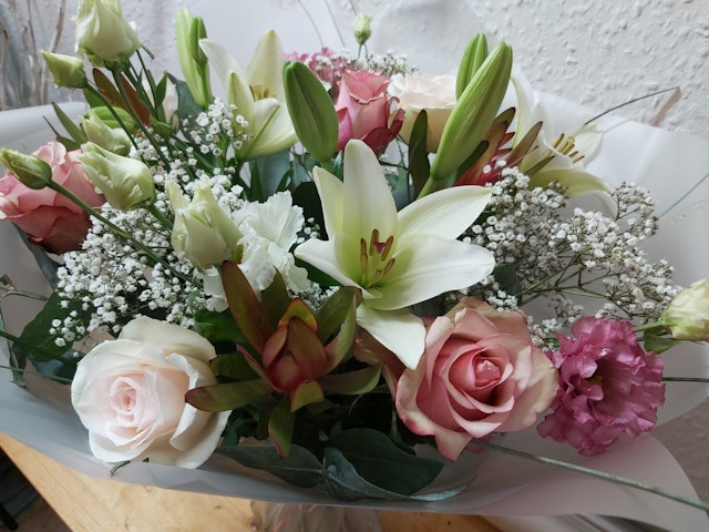 Adorable pinks