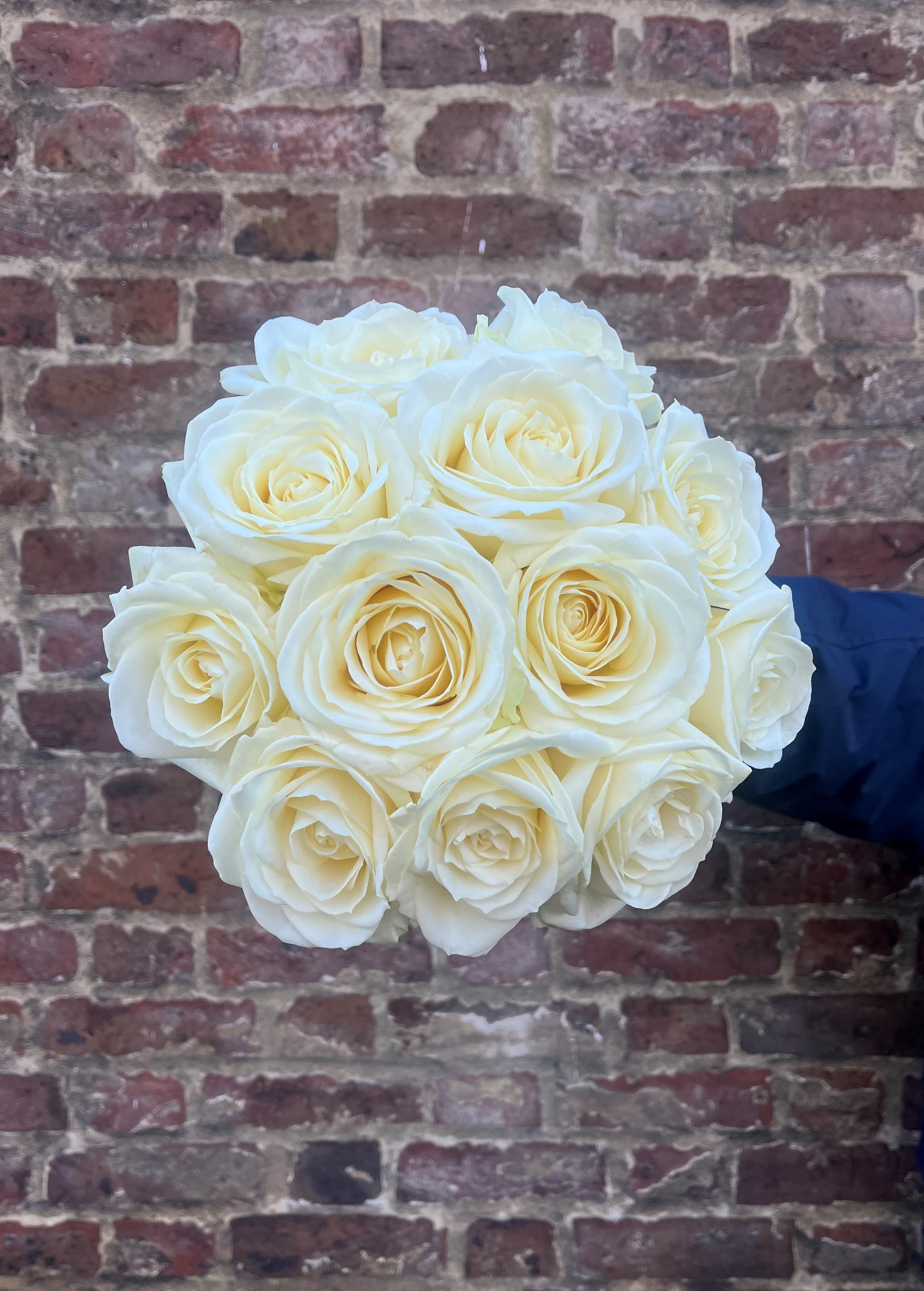 White Rose - A Dozen