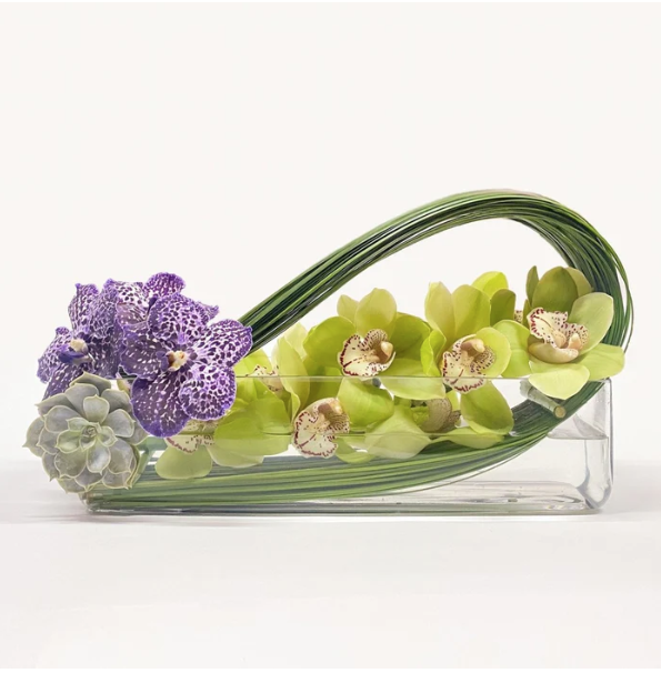 Cymbidium Long Wave /