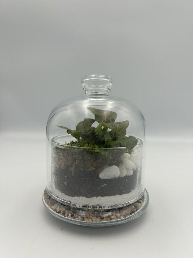 Mini Mosaic Terrarium