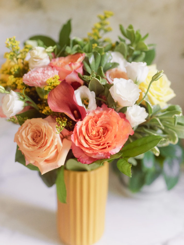 Izzy - Ode a la ROSE | Flowers | Floom