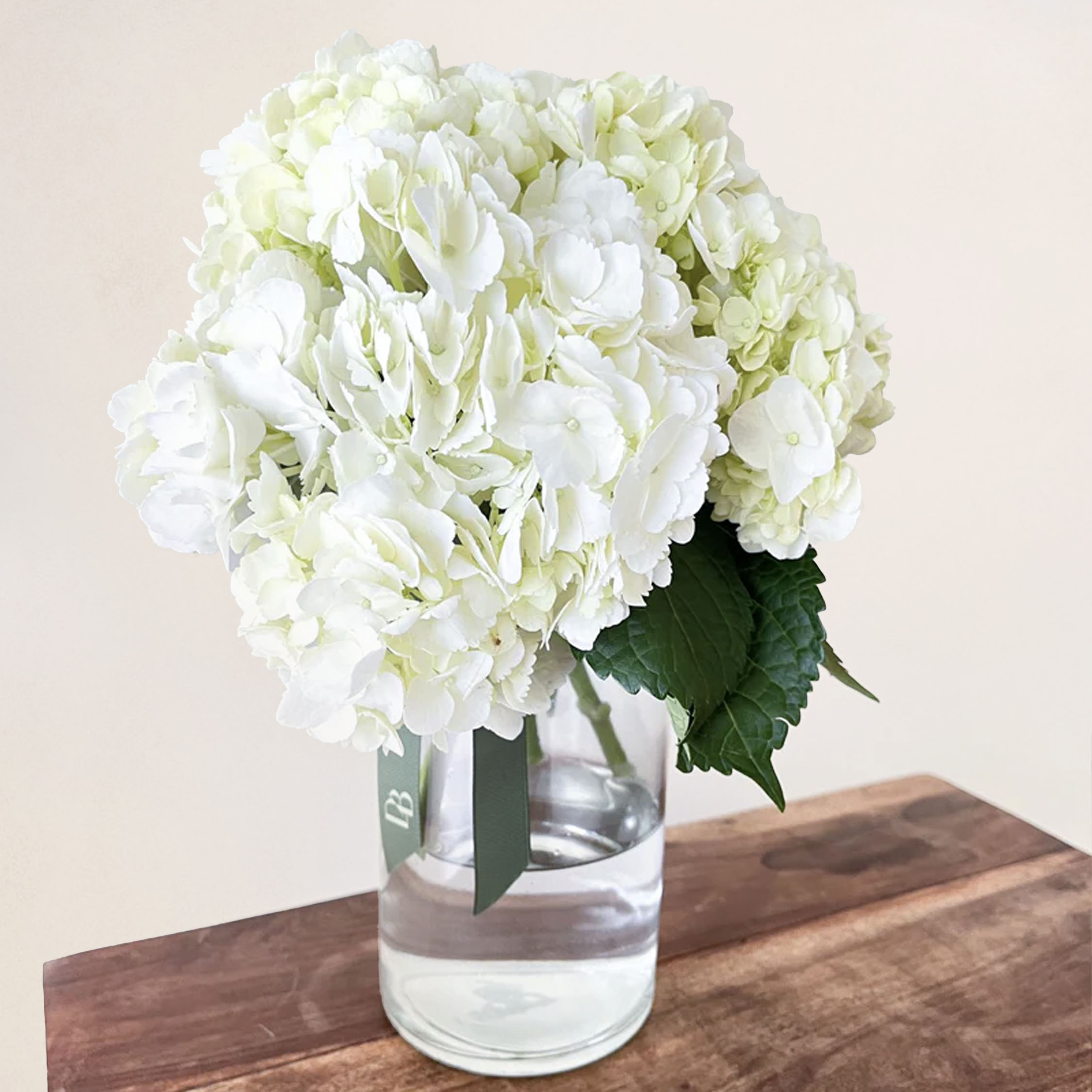 Talia Hydrangea Vase