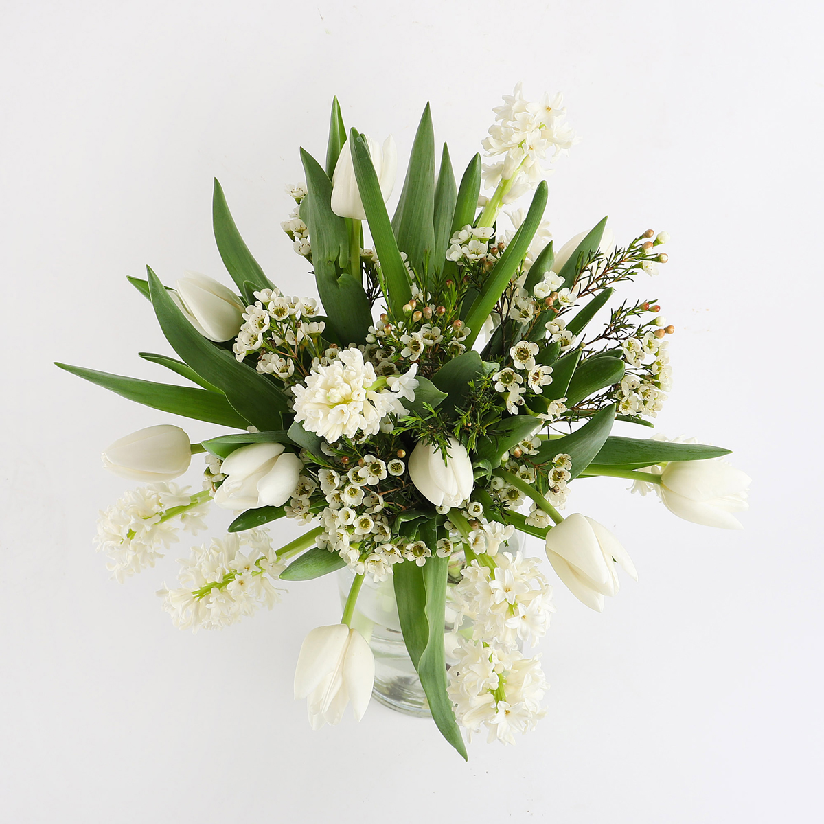 HYACINTH & TULIP
