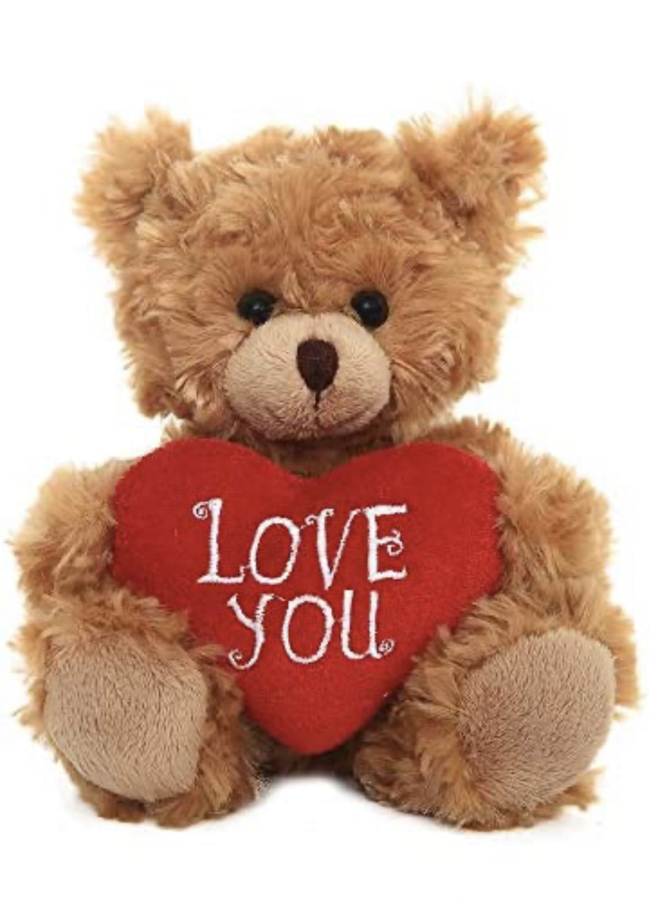 Plush Bear with heart S